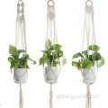 Cotton Plant Holder wall mount plant hanger Factory